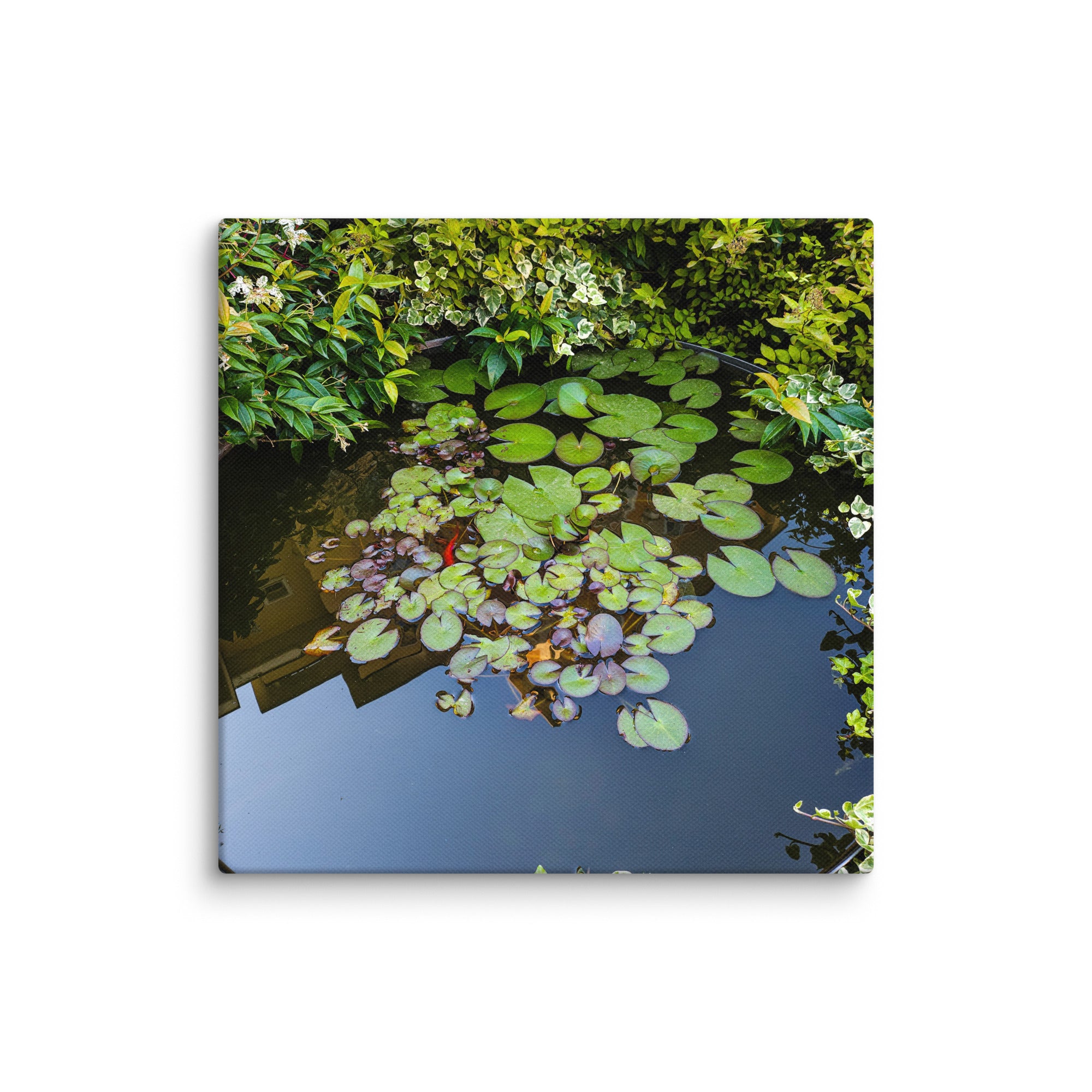 Canvas of a Pond and Lily Pads in Darfo Boario Terme Italy - Rosetta Creative Boutique